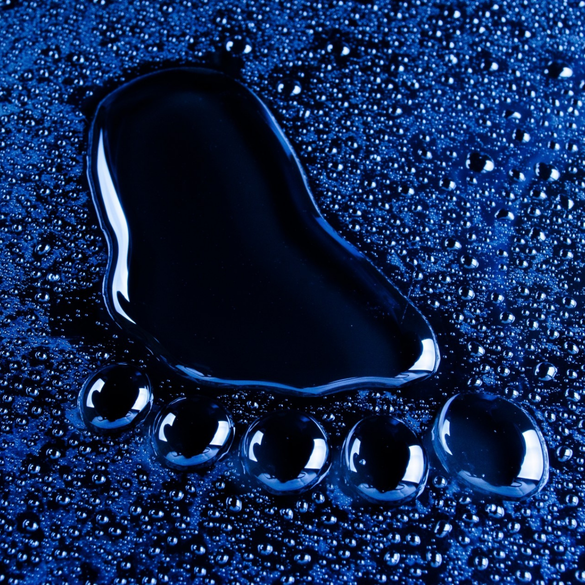 La huella de carbono La huella de carbono