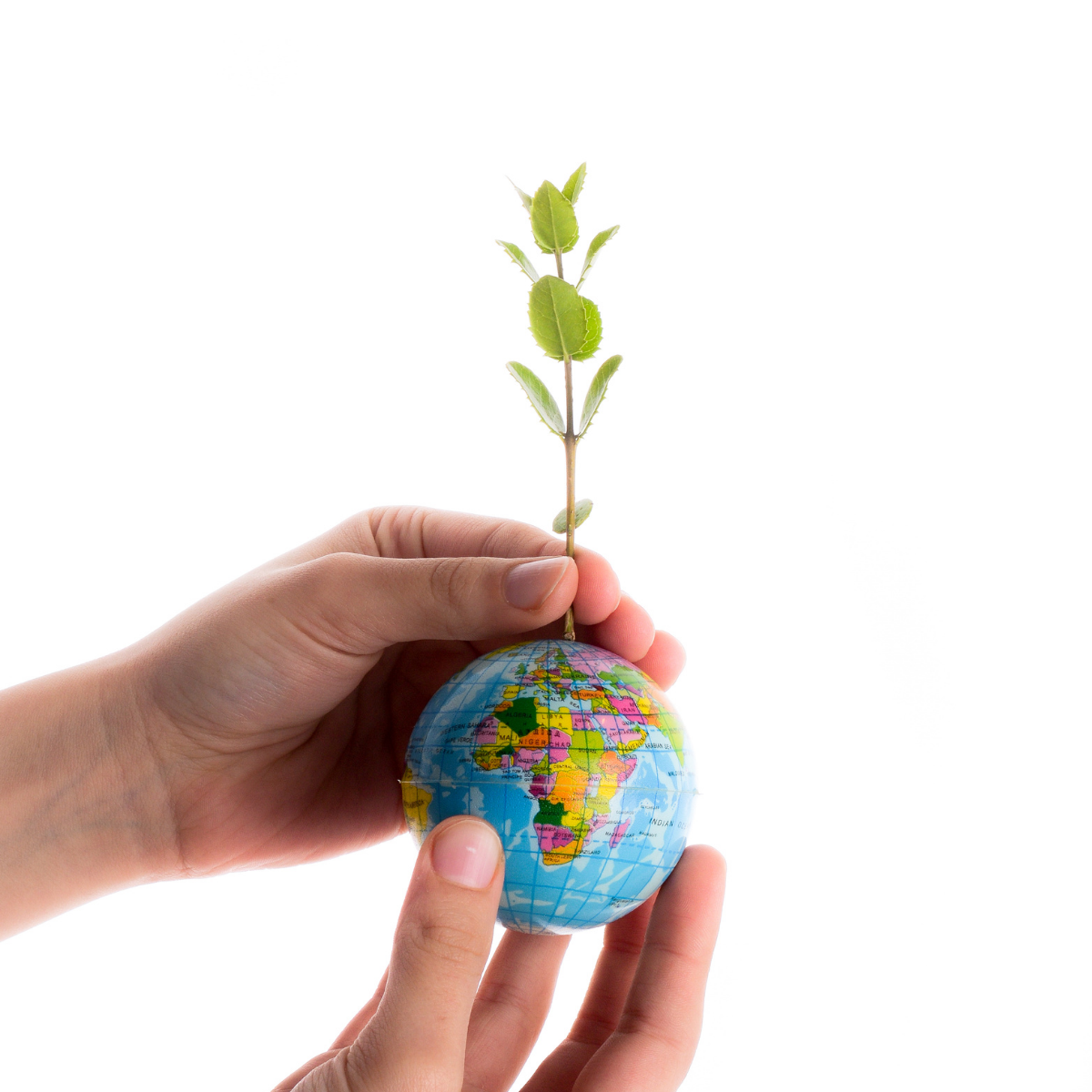 ¿Sabes qué es el Pacto Verde Europeo? ¿Sabes qué es el Pacto Verde Europeo?